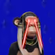 73767915641559623420597477178562812675609258382298042092577737708417755119617