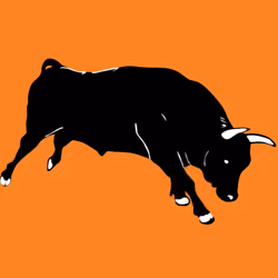CRYPTO BULL #7