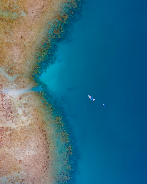 Item #76182420435474433030175106925333141340122143524658153810664851665973963390977 Media