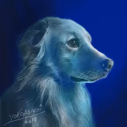 615985665030014359151933937920093135833066652334280591351370847416838258689