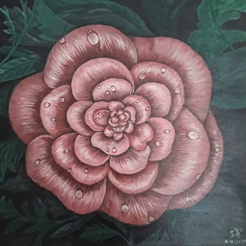 Rosa Magicae