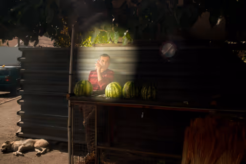 Item #8293050977498067439738640211663030445621008093446820664285481016305737793537 Media