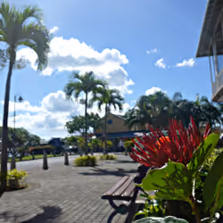 Mauritius #17