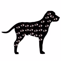 Dog Eyes