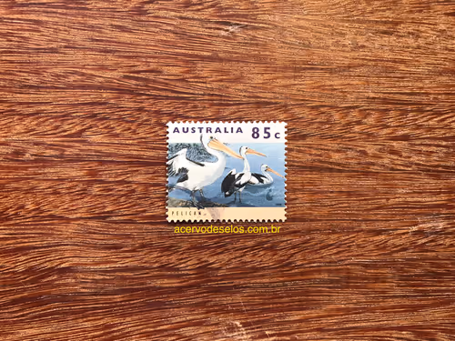 Item #20597586626667959385800891861414849022288511145256085744500515468211017220097 Media