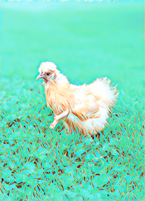 Item #12986001583624842443475589555777676835882886084855718816066093910369725579265 Media