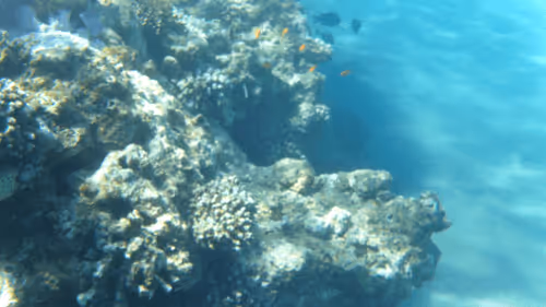 Item #32522392328516293709208538786472574869311995244495637720412795745406868783109 Media