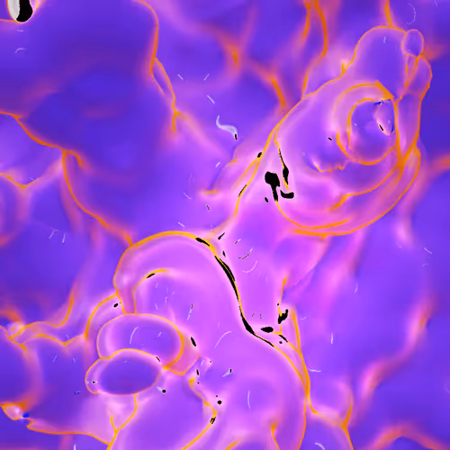 rustyfightergirl Collection