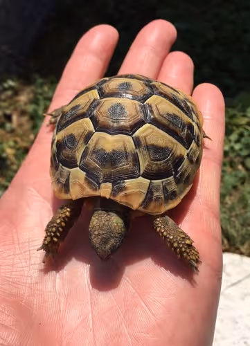 Untitled Collection #3168329867