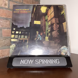 Ziggy Stardust