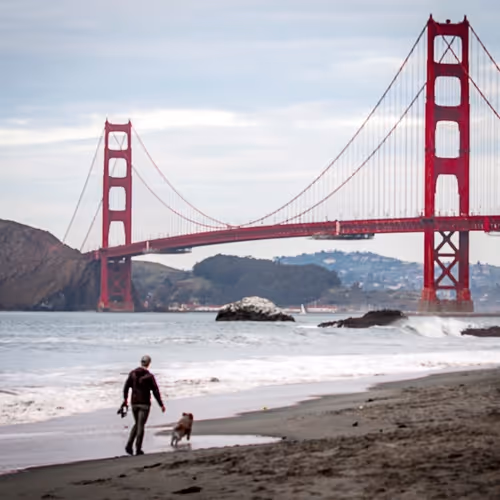 Item #106945587133834259951715489337626990272245183097279849203792177691655686586369 Media