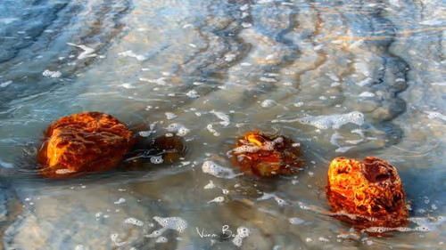 Item #95487849317578156668407947813270977219507958341613575813230836664560739418113 Media