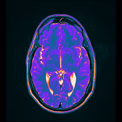 64162533542198579898252916190583583845604629893829087458582976465972622262273