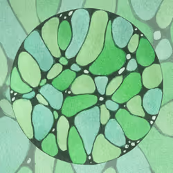 9922773586447412206396864924373629653253916973807141878128061832395749326849