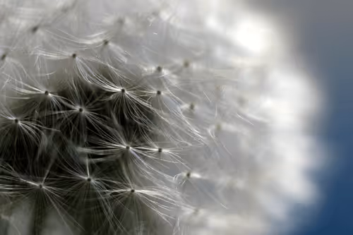 Item #13606181839721576894155883308236999132816604807813273145513526371457479737345 Media