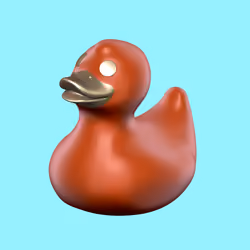 Duck #213