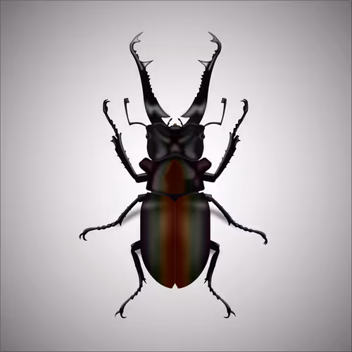 Item #15006194083360452165747859706250248338064014496976576965207408006314015588353 Media