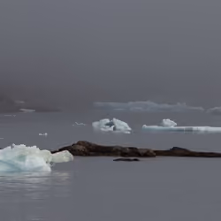 Foggy Greenland