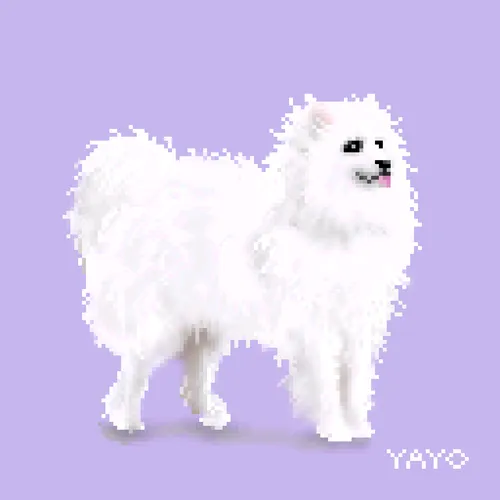 Item #13080766421190555612307919645379576803990371461875354718024555277256606351362 Media