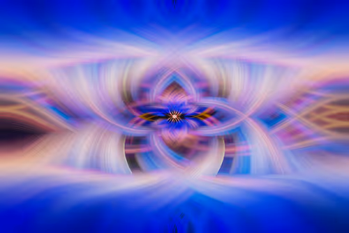 Item #33806556116645353974422995666267801011499992445511295382812024852115244449793 Media