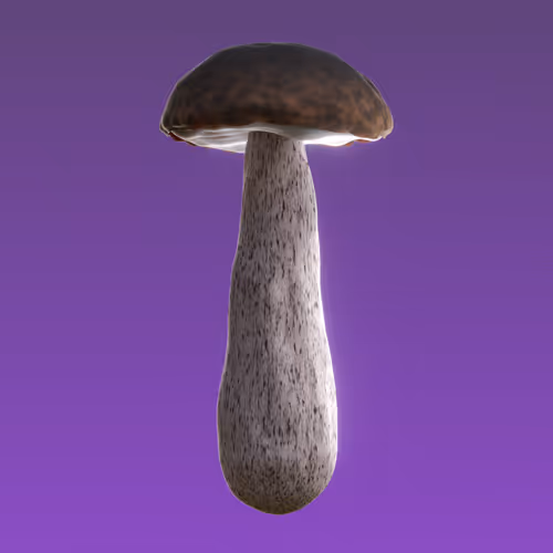 Item #95653877050150474555742155054455970472164202465768371638498214028360672083969 Media