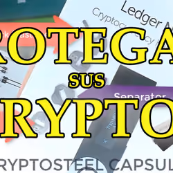 #17 Español Ledger