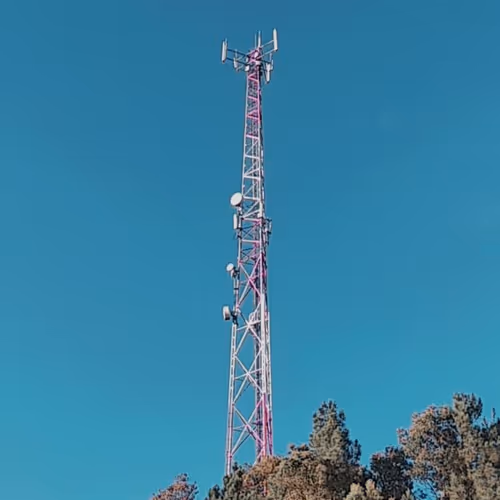 Untitled Collection #197862141