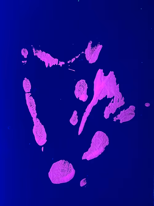 Item #82156306384610747966184862212727550247456131418142315154672423525936432939009 Media