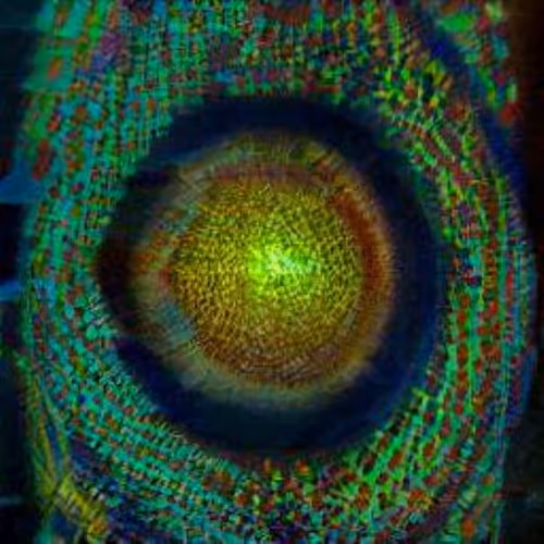 Item #32220135185644644339471229453997932693619056434680386446723881983486654939137 Media