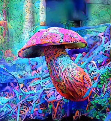 Item #98828088198769885069129805652987605738903563667474416042030428855499237621761 Media