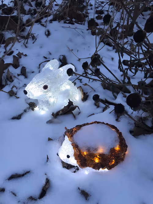 Item #75378417465058066546006952795636579891800036651031731756528554288678319423489 Media