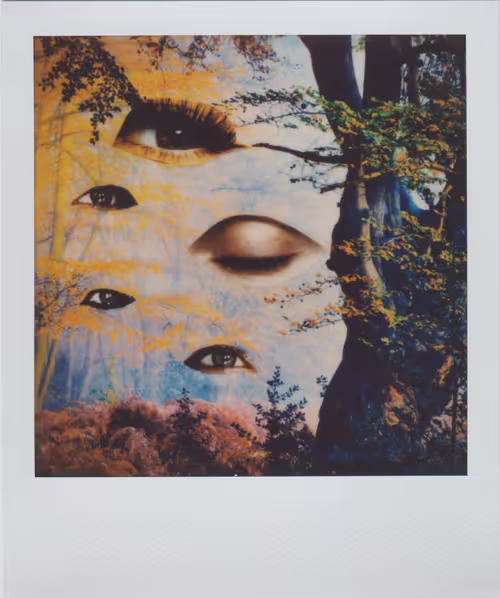 Item #24326241123829317612575481076654588048971431534812965985339390035998093082625 Media