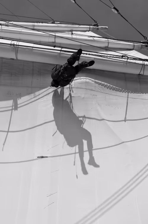 Item #34110083671509346653453586160941404072216291014688644284046702120701838491649 Media