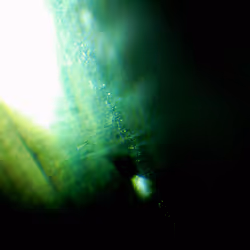 71646257518770613568983710813551014237803002136866425209291834488088959123457