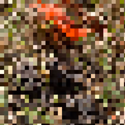 2850415134272365380187775685678842410458265265709128331682257671202514403329