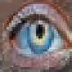 26686199163110026974324844525197690946123465911861922497364912517989766529025