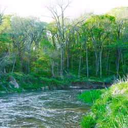 The River - One
