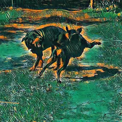 24515379016287833430110687259411372809394655166763807580583558307093401305089