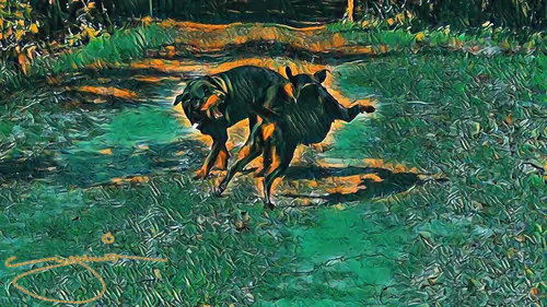 Item #24515379016287833430110687259411372809394655166763807580583558307093401305089 Media