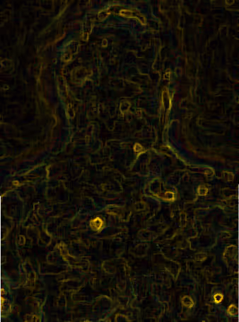 60387690525530563514320027935342701581113332514839003649011477865778068324354
