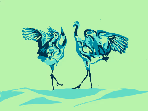 Item #86286569011672249143581902672238150923937334210812916089856769936064361005057 Media