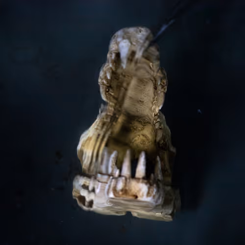 Genesisunderwater