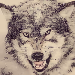 Smokey da Wolf