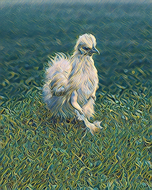 Item #12986001583624842443475589555777676835882886084855718816066093925762888368129 Media