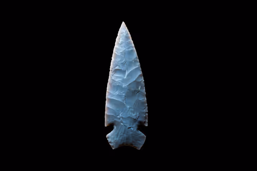 Item #73012537247702807532369324926658446839130533184421937656810479183428442914817 Media