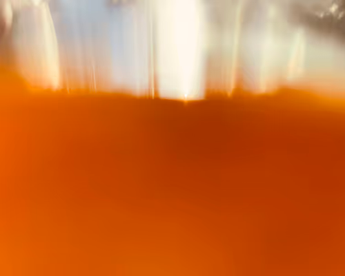 Item #34814088845477629227704468099299342434369579888194691644291829413535373328385 Media