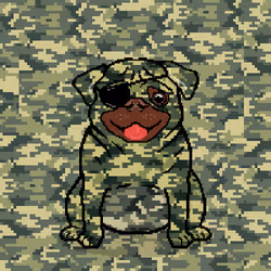 35706066788075922593968681800847375017258131335947992027180084311006797365249