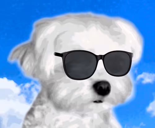 Item #21477548388787063266658748687199700189937005018840532589754440254580901019649 Media