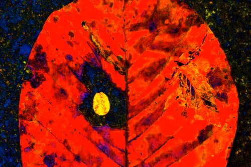 Item #11128123256113201505825332092376579448973501376012613523417643040378089111553 Media