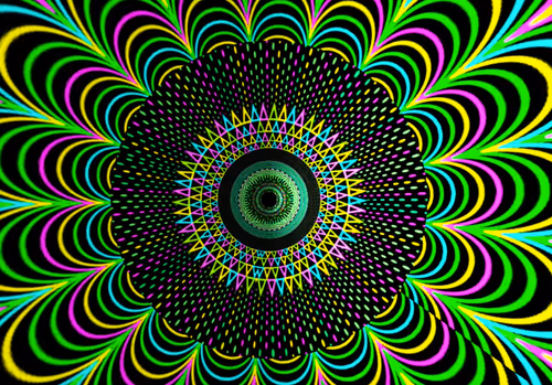 Item #68973566144709109031728569002601228644519769149266707685540933012823639851009 Media